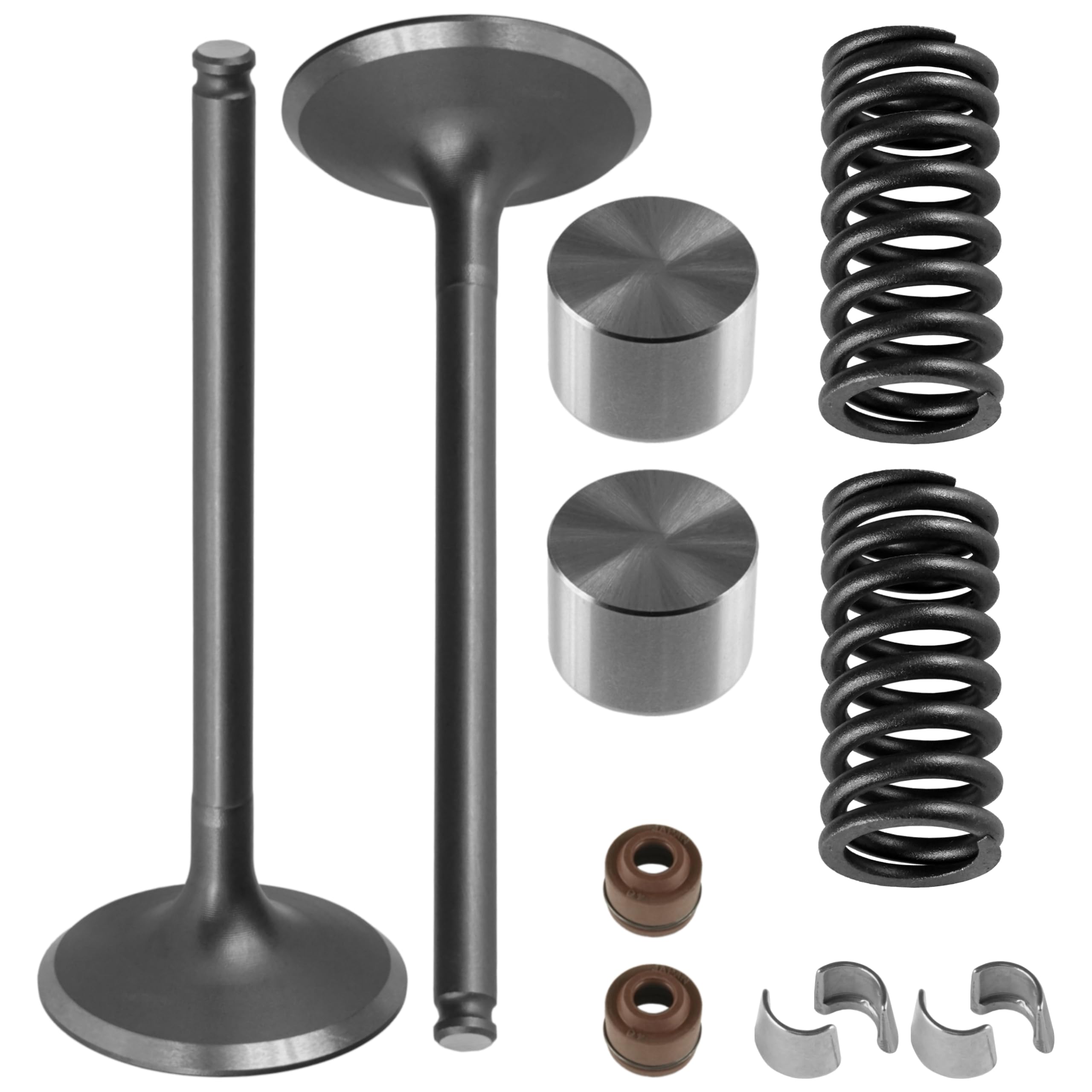 Amazon.com: Caltric 2x Intake Valve Kit compatible with Honda